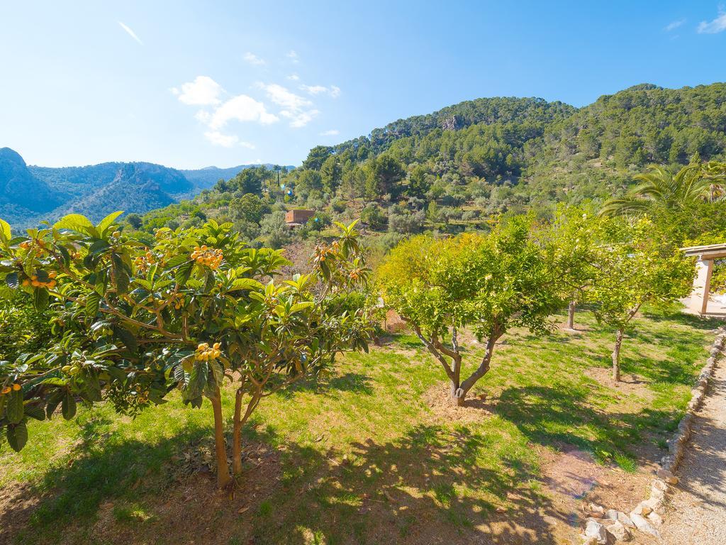 Bunyola Villa Bagian luar foto