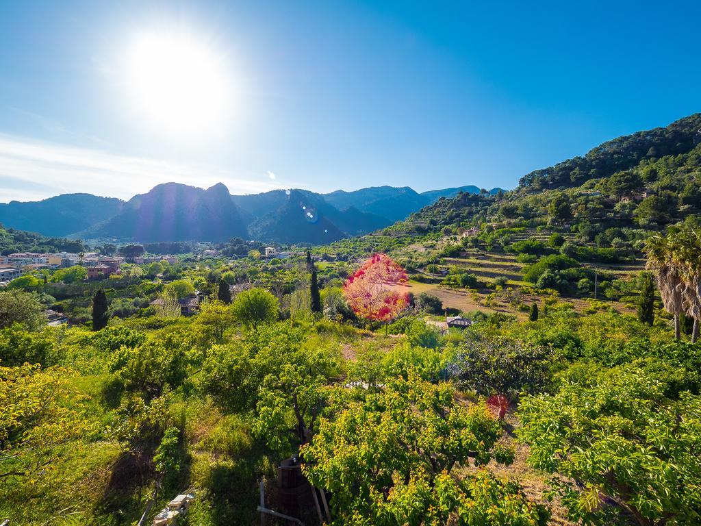 Bunyola Villa Bagian luar foto